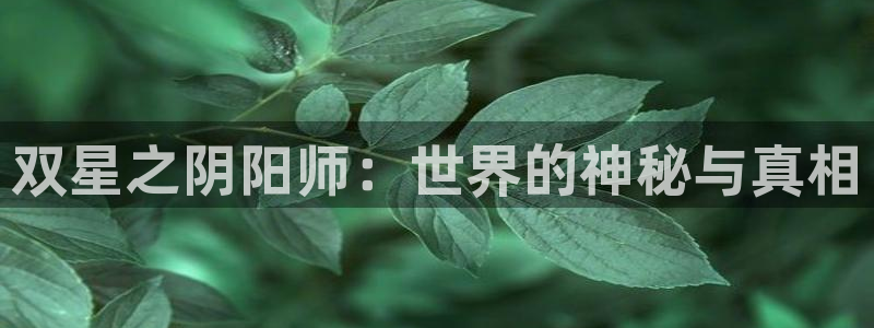 行业资讯